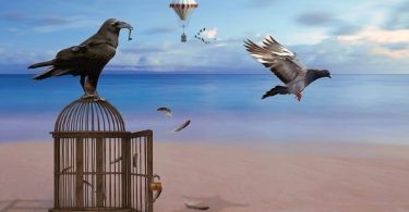 How Going No Contact With Narcissists Liberates You