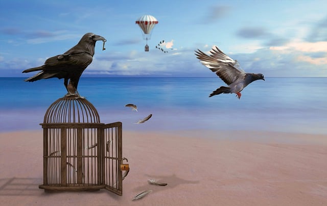 How Going No Contact With Narcissists Liberates You